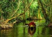 Desa Pulau Patai Masuk 45 Besar Lomba Desa Wisata Nusantara 2024
