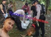 Judul Berita: